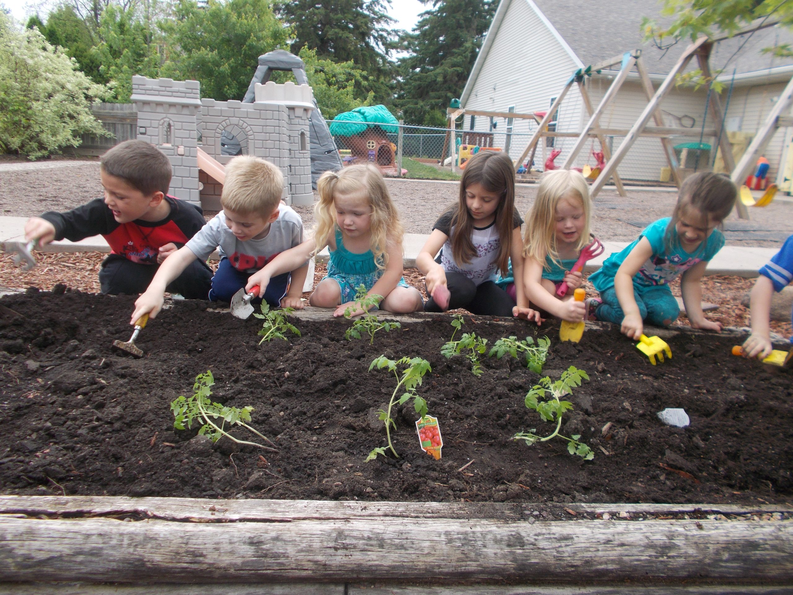 Children working together in an outdoor garden