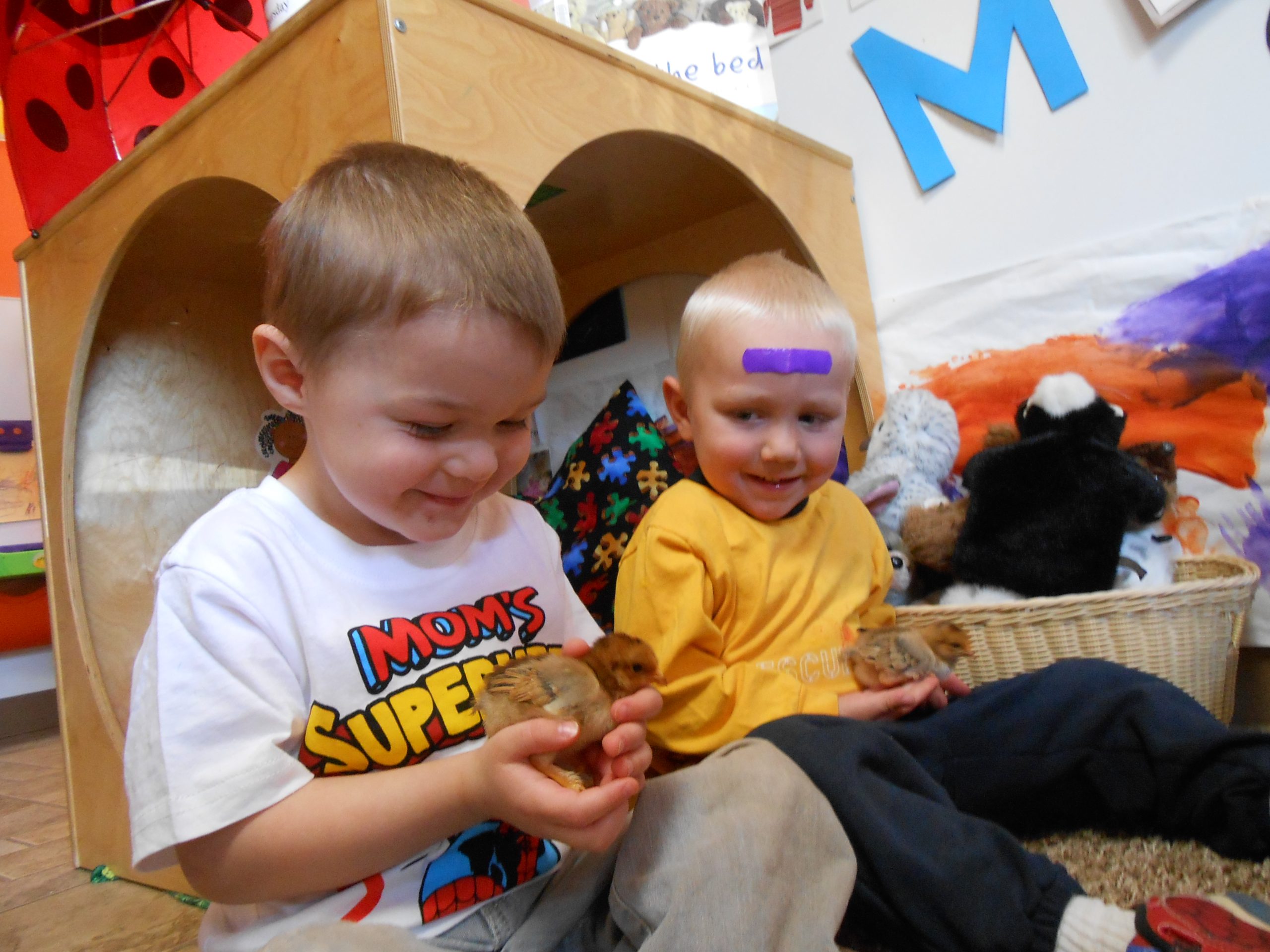 Young children observing a chick during a supervised activity